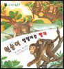 꼬마 자연 관찰 빙고. 11 원숭이 엉덩이는 빨개