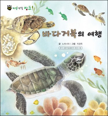 꼬마 자연 관찰 빙고. 25 바다거북의 여행