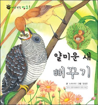 꼬마 자연 관찰 빙고. 29 얄미운 새 뻐꾸기