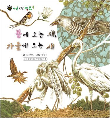꼬마 자연 관찰 빙고. 37 봄에 오는 새, 가을에 오는 새
