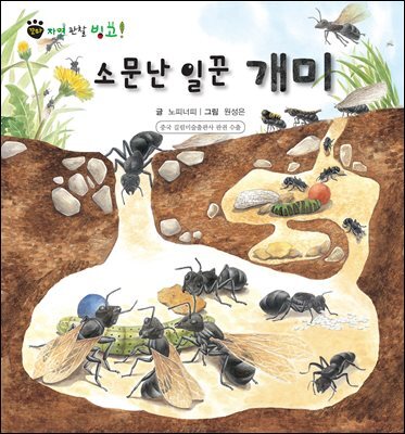 꼬마 자연 관찰 빙고. 38 소문난 일꾼 개미