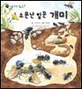 꼬마 자연 관찰 빙고. 38 소문난 일꾼 개미