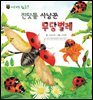 꼬마 자연 관찰 빙고. 41 진딧물 사냥꾼 무당벌레