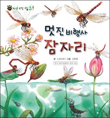 꼬마 자연 관찰 빙고. 43 멋진 비행사 잠자리