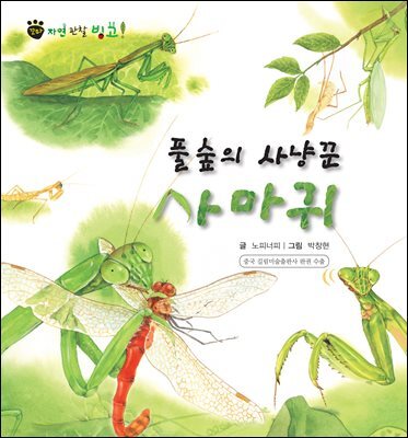 꼬마 자연 관찰 빙고. 45 풀숲의 사냥꾼 사마귀