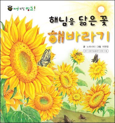 꼬마 자연 관찰 빙고. 48 해님을 닮은 꽃 해바라기