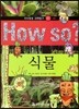 How so 지식똑똑 과학탐구 01 식물