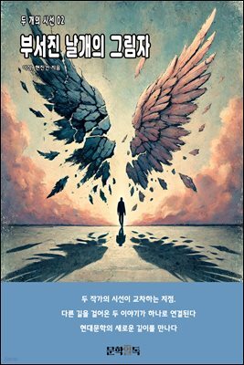 부서진 날개의 그림자