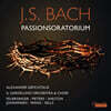 Il Gardellino 바흐: 수난 오라토리오 [복원판] (Bach: Passionoratorium, BWV Anh.169)