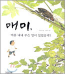 매미, 여름 내내 무슨 일이 있었을까?