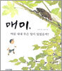 매미, 여름 내내 무슨 일이 있었을까?