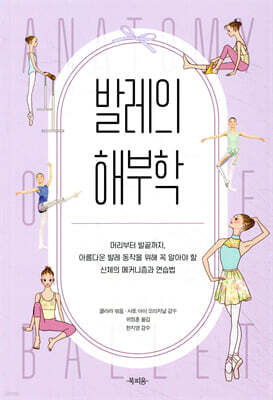 발레의 해부학