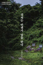 상처는 언젠가 말을 한다 (큰글자도서)