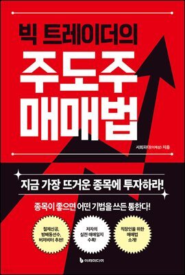 빅 트레이더의 주도주 매매법