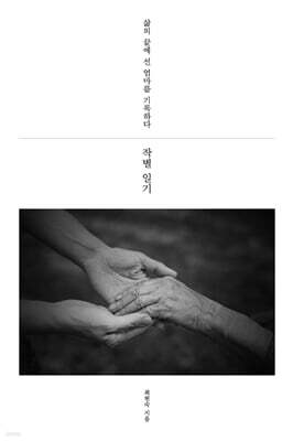 작별 일기 (큰글자도서)
