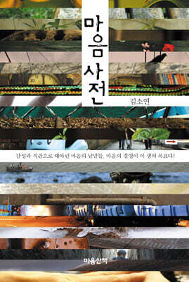 마음사전 (큰글자도서)