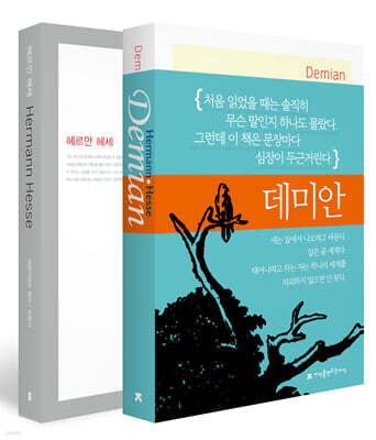 데미안 + 헤르만 헤세 세트