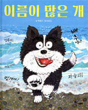 상품명