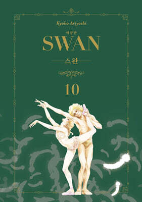 스완 애장판 10