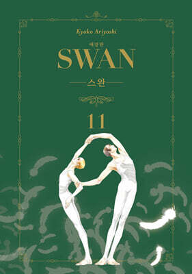 스완 애장판 11
