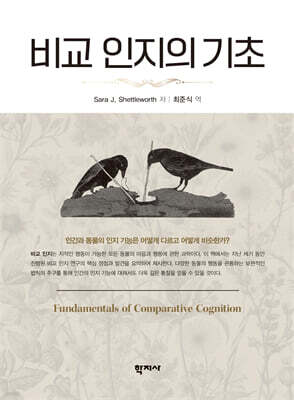 비교 인지의 기초