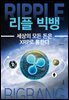 리플 빅뱅