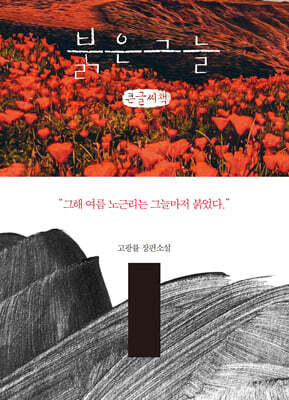 붉은 그늘 (큰글자책)