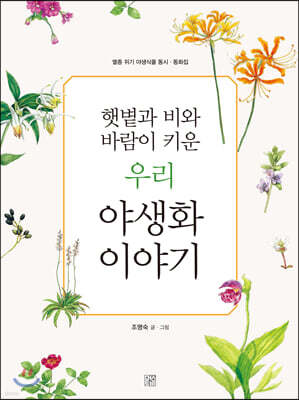 햇볕과 비와 바람이 키운 우리 야생화 이야기