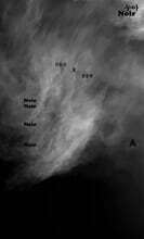 누아 (타입 에디션)