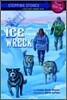 Stepping Stones (True Stories) : Ice Wreck