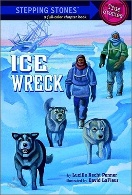 Stepping Stones (True Stories) : Ice Wreck
