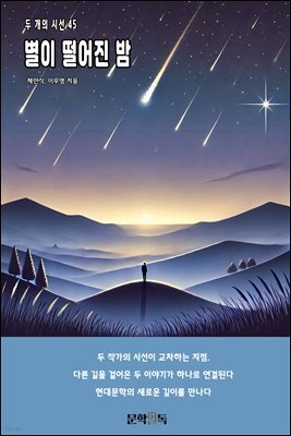 별이 떨어진 밤