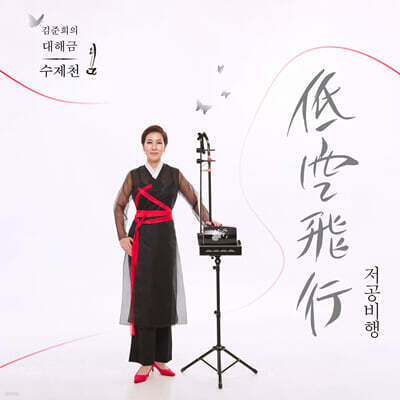 김준희 - 김준희의 대해금 수제천 “低空飛行(저공비행)”