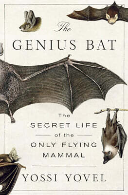 The Genius Bat: The Secret Life of the Only Flying Mammal