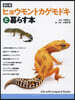 ヒョウモントカゲモドキと暮らす本 新訂版