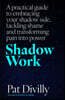 A Shadow Work