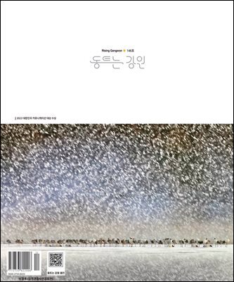 동트는 강원 146호