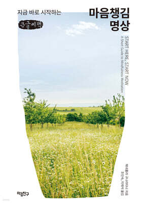 지금 바로 시작하는 마음챙김 명상 (큰글자책)