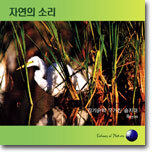 강기슭의 우거진 습지대