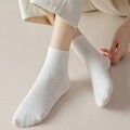 (10켤레 SET) 국산양말 스포츠 스쿨 카바 단목양말	