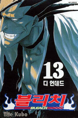 블리치 BLEACH 13