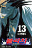 블리치 BLEACH 13