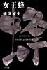 金田一耕助ファイル(9)女王蜂