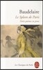 Le spleen de Paris