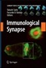Immunological Synapse