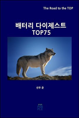배터리 다이제스트 TOP75