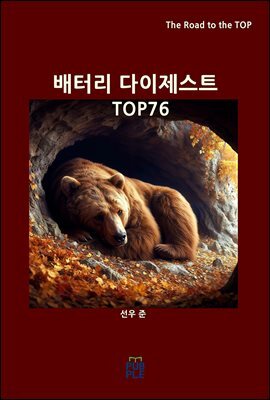 배터리 다이제스트 TOP76