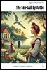 The Sea-Gull by Anton