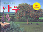 생물의 한살이 나무