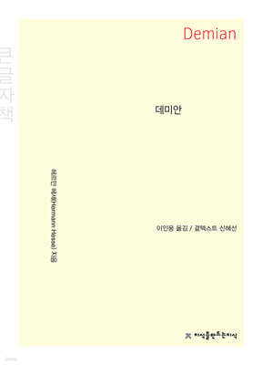 데미안 (큰글자책)